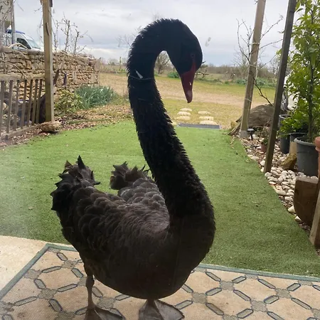 La Solaire A La Ferme Farma