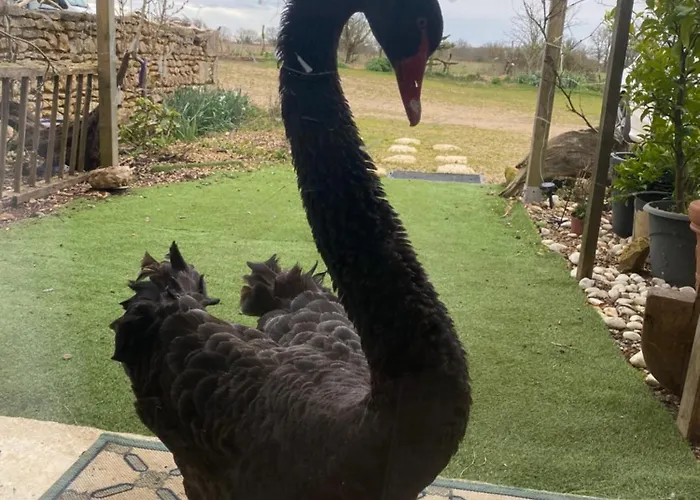 La Solaire A La Ferme Feriegård